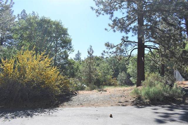 0 Oriole Court - Photo 1