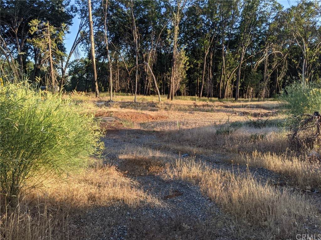 13542 Park Drive - Photo 1