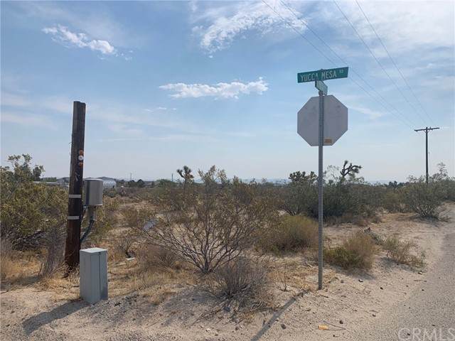 0 Yucca Mesa Road - Photo 1
