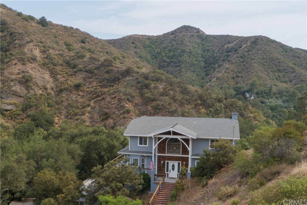 29235 Modjeska Canyon Road - Photo 1