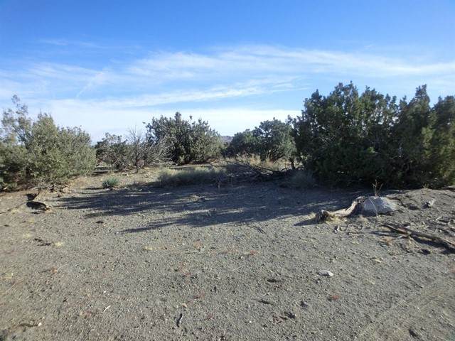 0 Elsinore Road - Photo 1