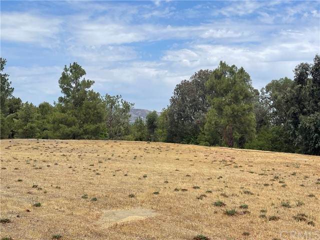 22171 Twin Oaks Court - Photo 1