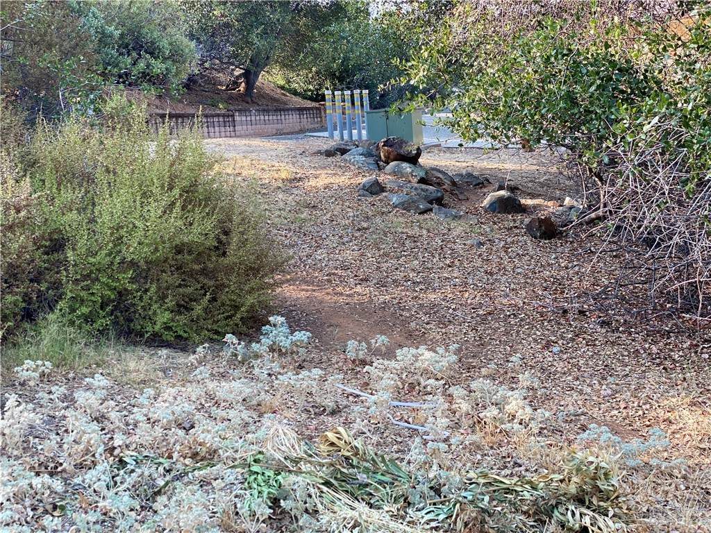 0 Jack Hill Drive - Photo 1