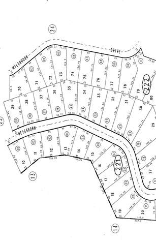 0 Wylerhorn Drive - Photo 1