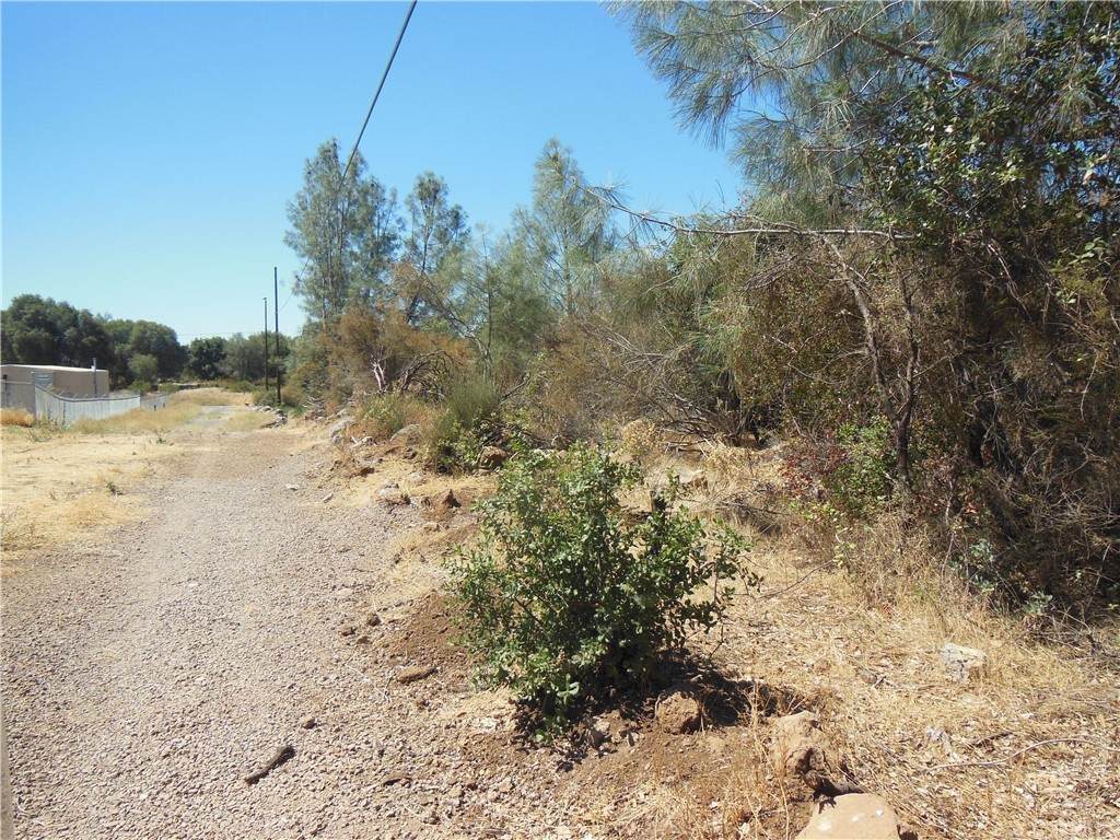 6350 Manzanita Avenue - Photo 1