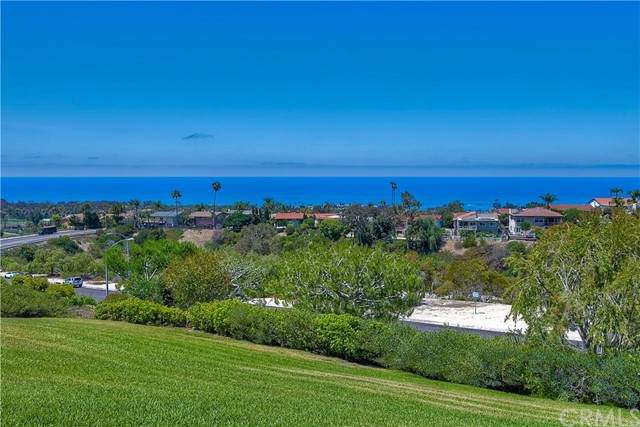 319 Calle Cuervo - Photo 1