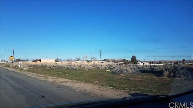 27300 20 Mule Team Road - Photo 1