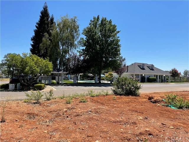 513 Montgomery Place - Photo 1