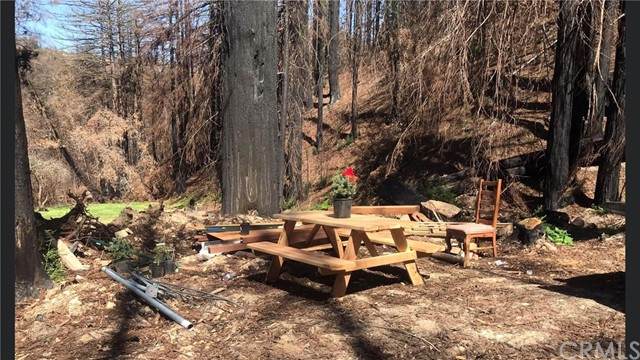 0 Whitehouse Creek Rd - Photo 1