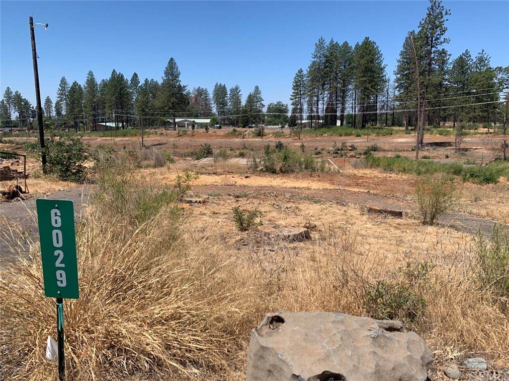 6029 Maxwell Drive - Photo 1