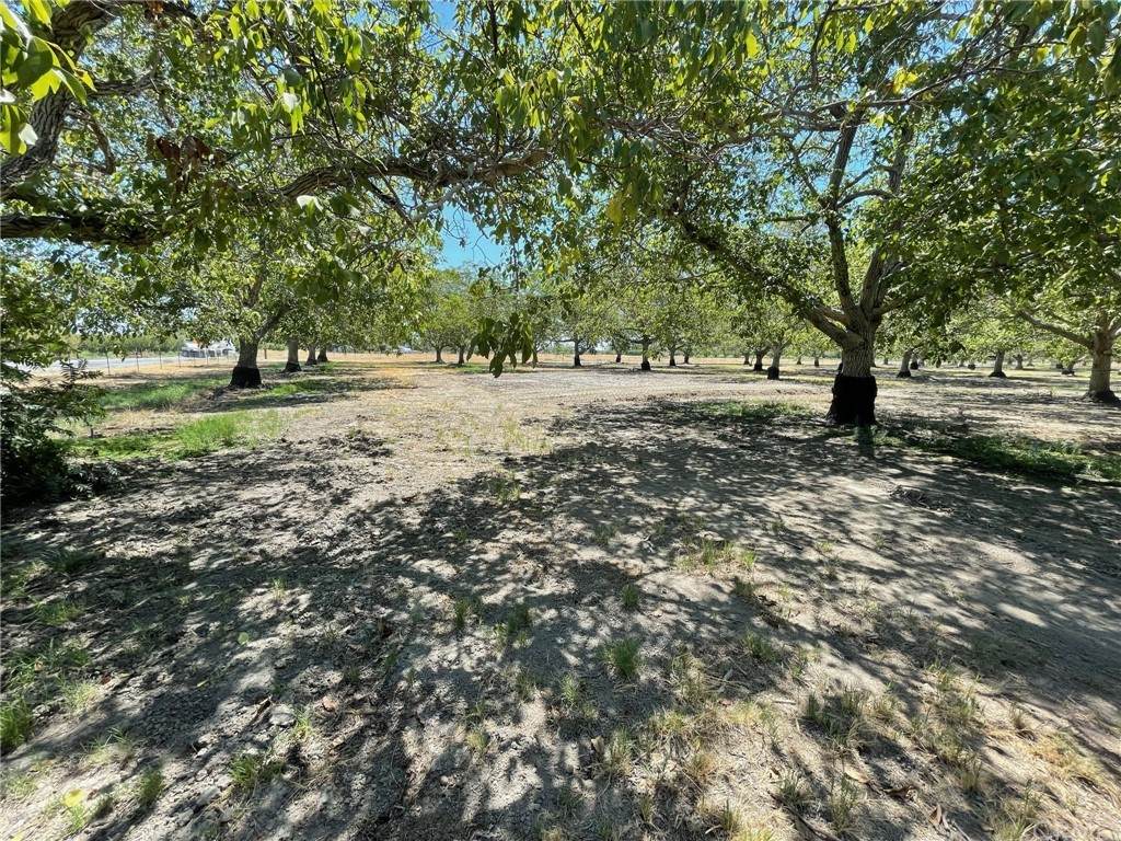 6122 Napa Road - Photo 1