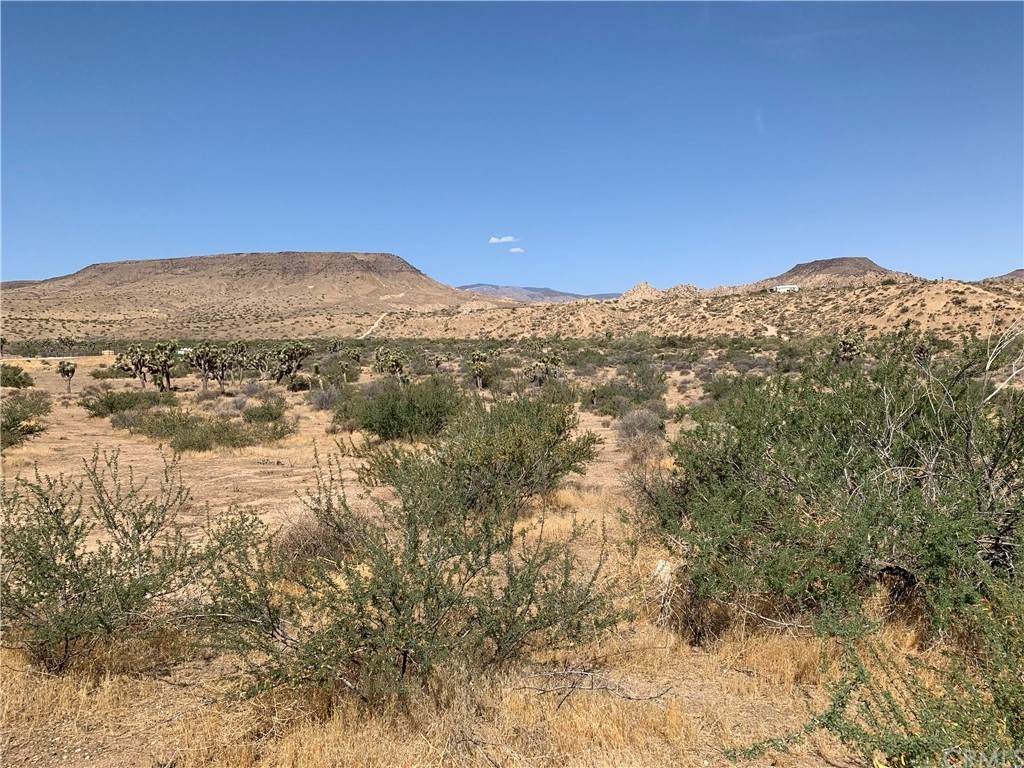 0 Chaparrosa Road - Photo 1
