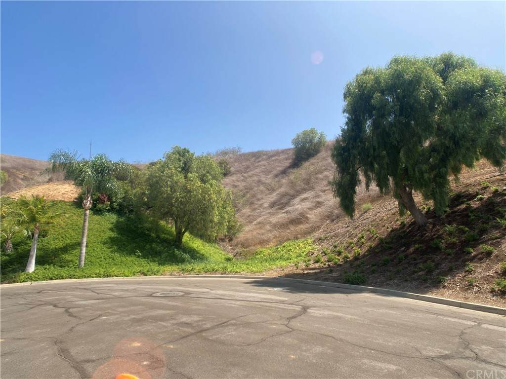 0 Little Canyon Ln - Photo 1