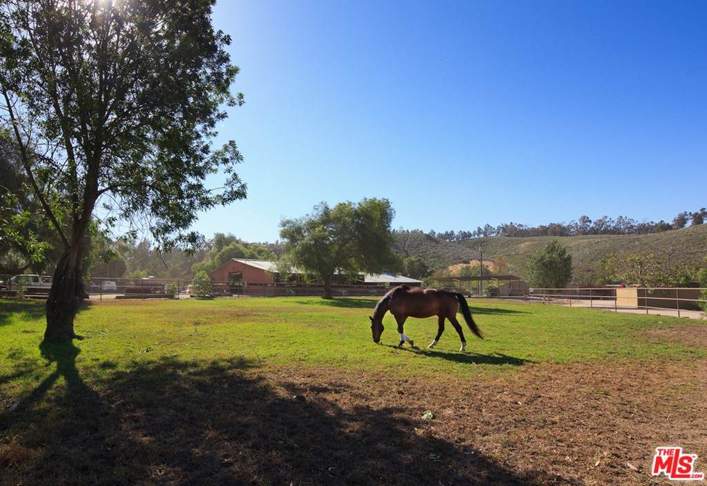 7202 Balcom Canyon Road - Photo 1