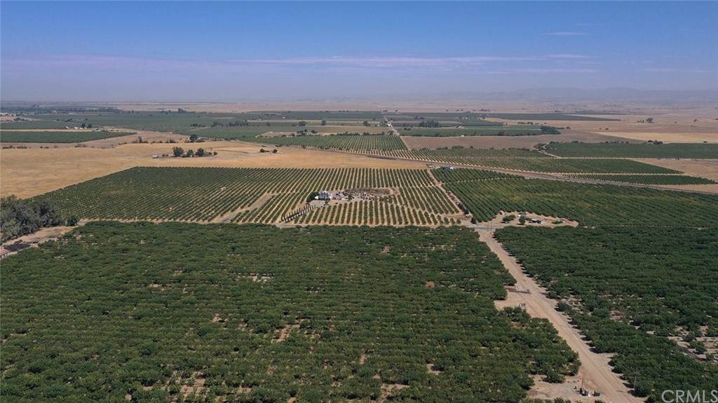 14950 Buchanan Hollow Road - Photo 1