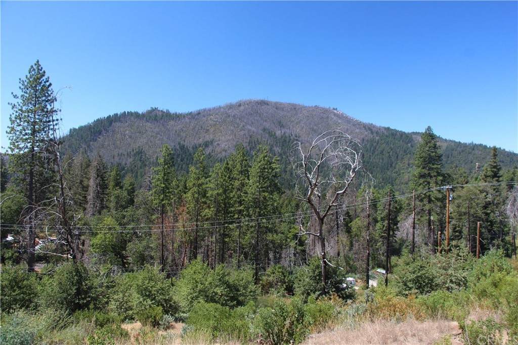 16789 Starview Loop Road - Photo 1