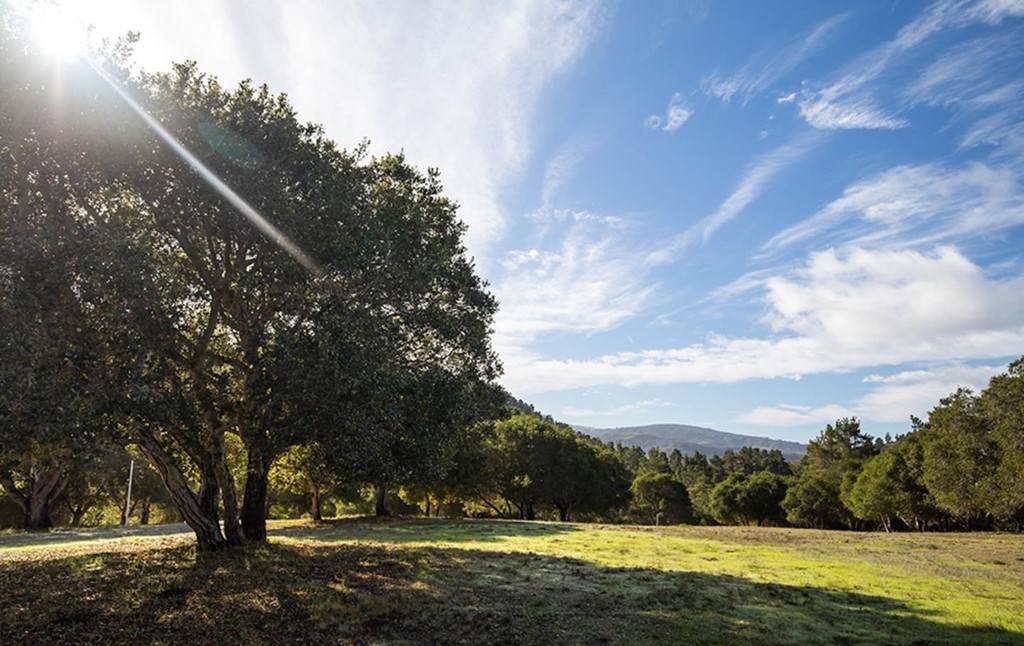 24 Tehama (Lot 10) - Photo 1
