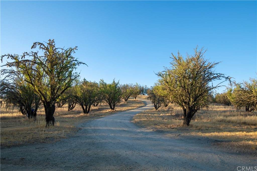 4150 Rancho Road - Photo 1