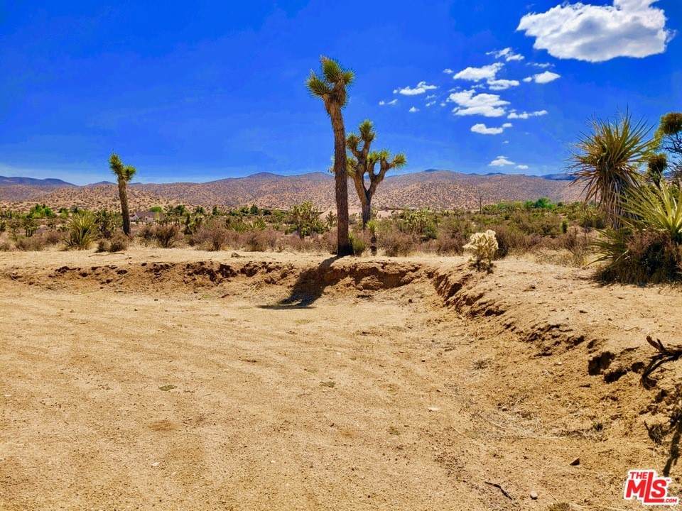 2624 Apache Pass - Photo 1