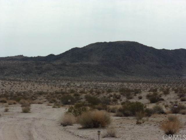 1234 Sunever - Photo 1