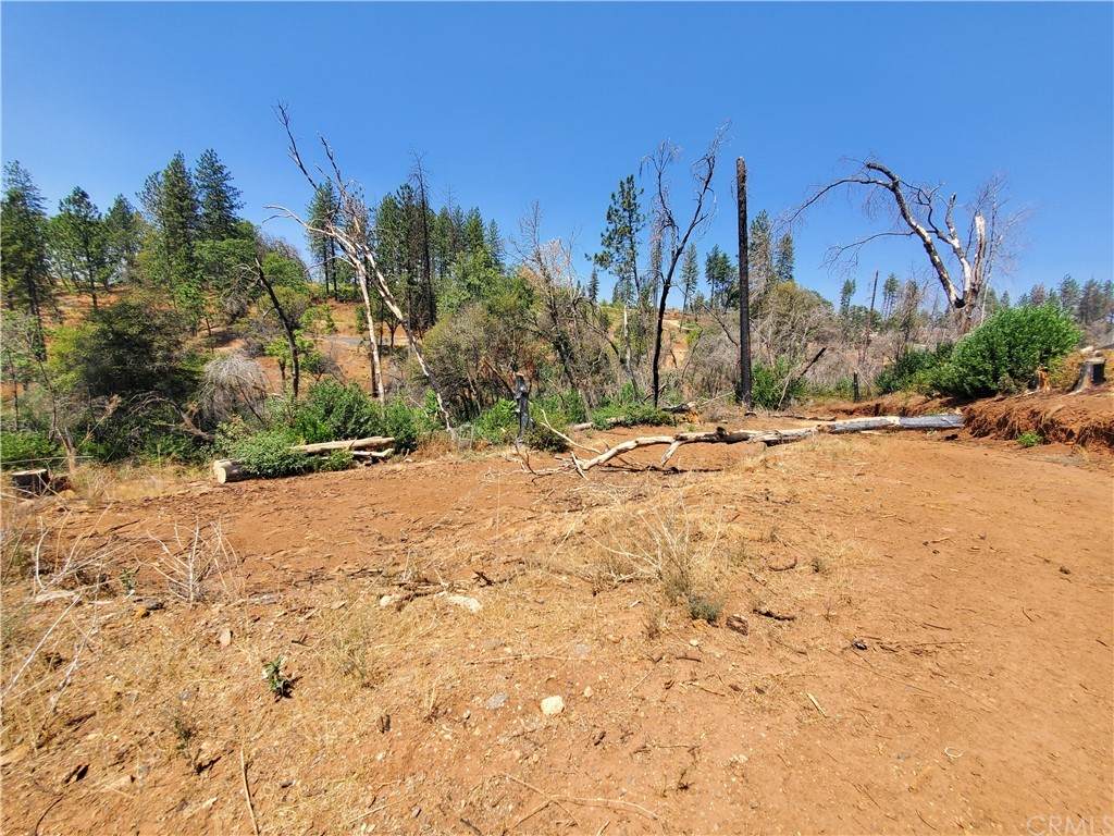 585 Elliott Road - Photo 1