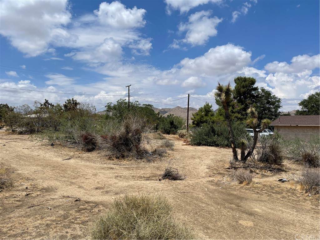 7429 Valley Vista Avenue - Photo 1