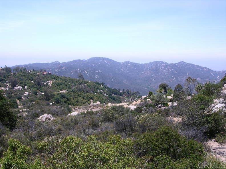 28511 Giant Rock Lane - Photo 1