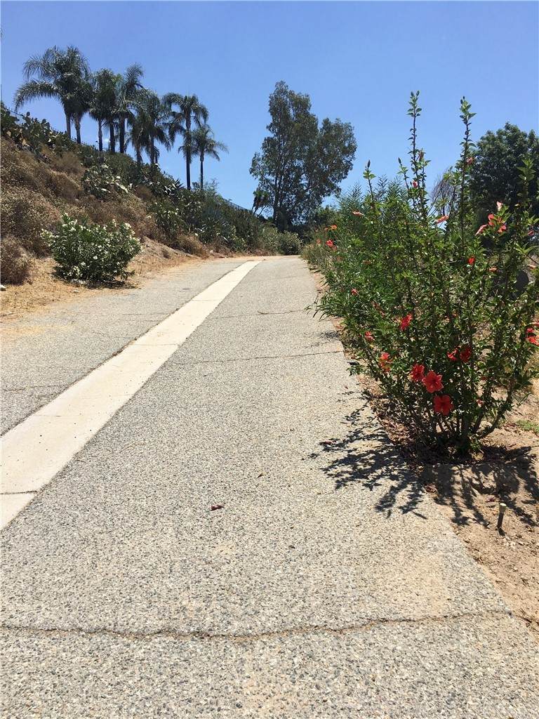 3065 Small Canyon Drive - Photo 1
