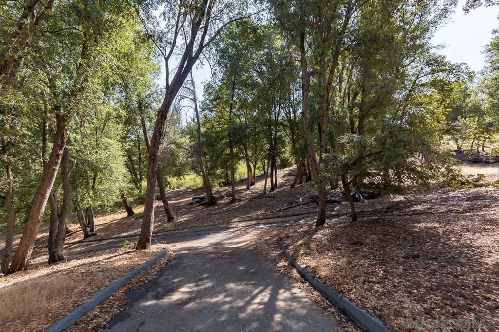0 Toyan Mountain Ln - Photo 1