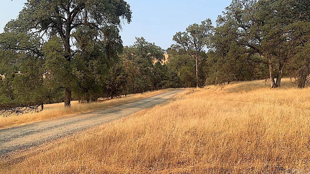 19 Pine - Photo 1