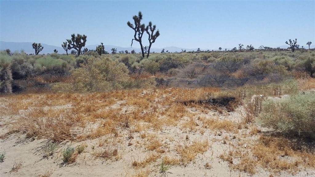 0 Bullion Mountain Road - Photo 1