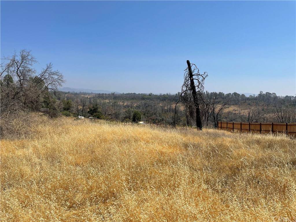 4830 Foster Road - Photo 1
