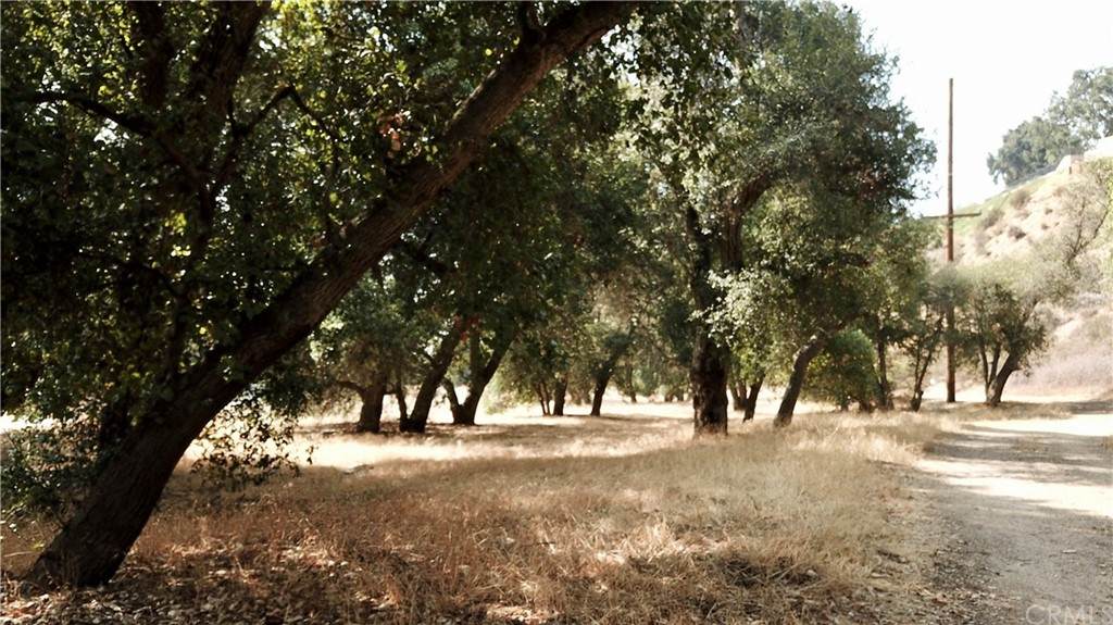 0 Wildwood Canyon Road - Photo 1