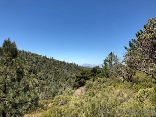 1608 Edge Cliff - Photo 1