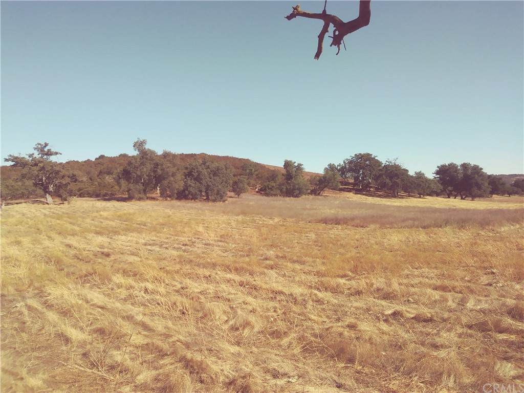 0-LOT 3 Deanna Ranch Road - Photo 1
