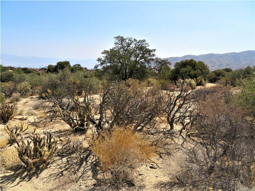 0 Manzanita Rd - Photo 1