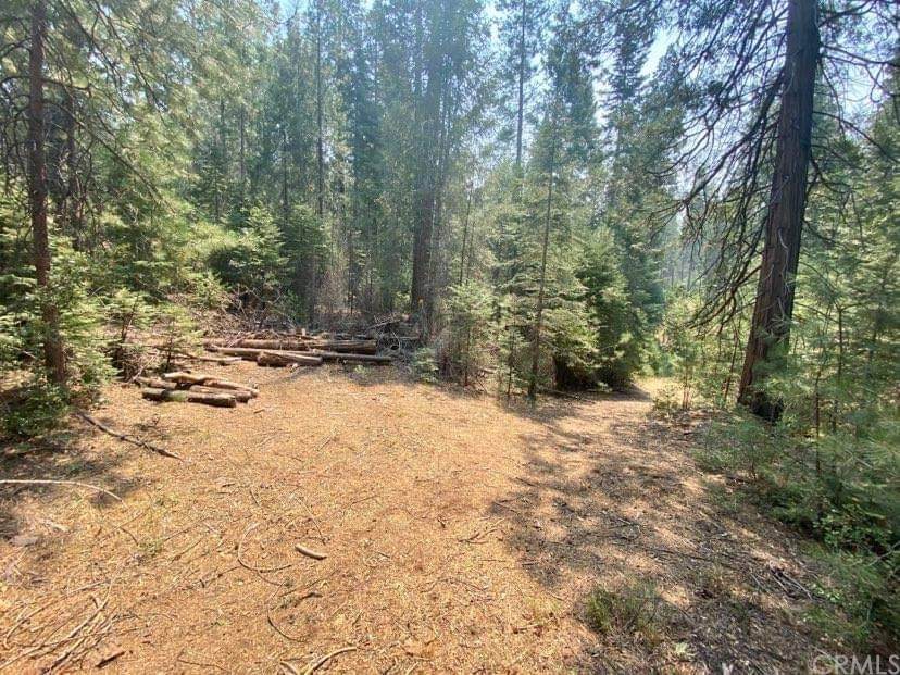 7150 Snyder Creek Drive - Photo 1