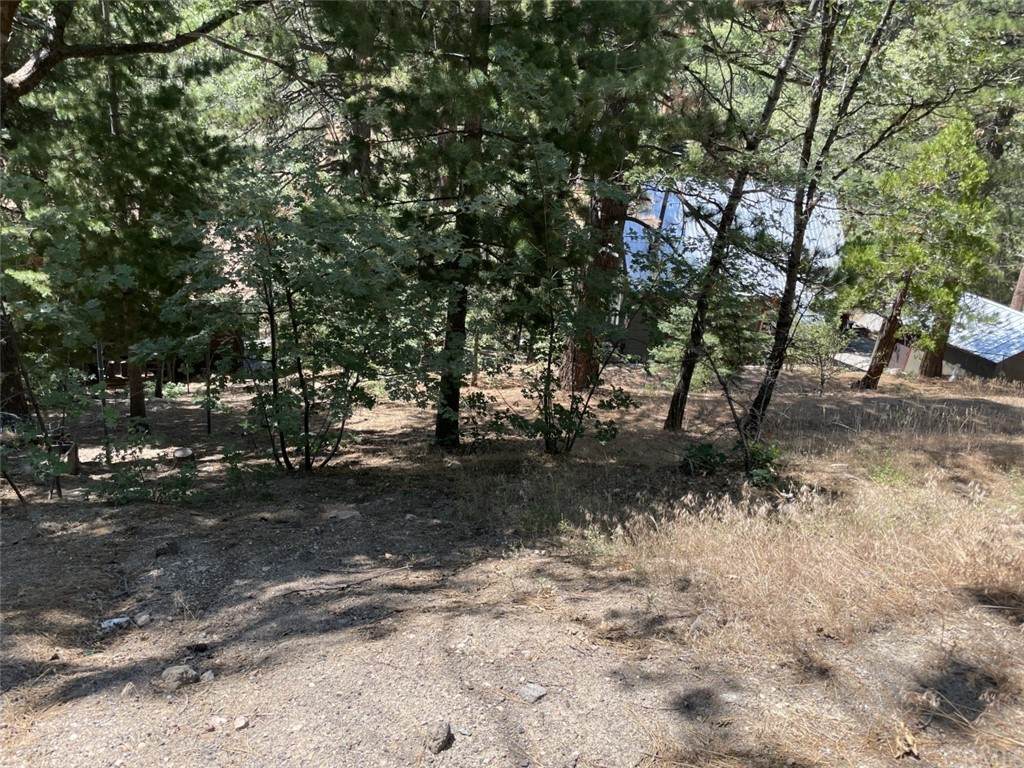 8 Preston Drive - Photo 1