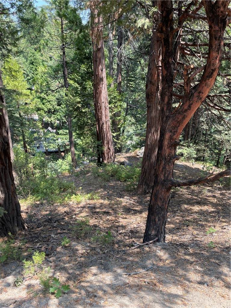 0 Fremont - Photo 1