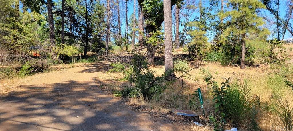5650 Butte View - Photo 1