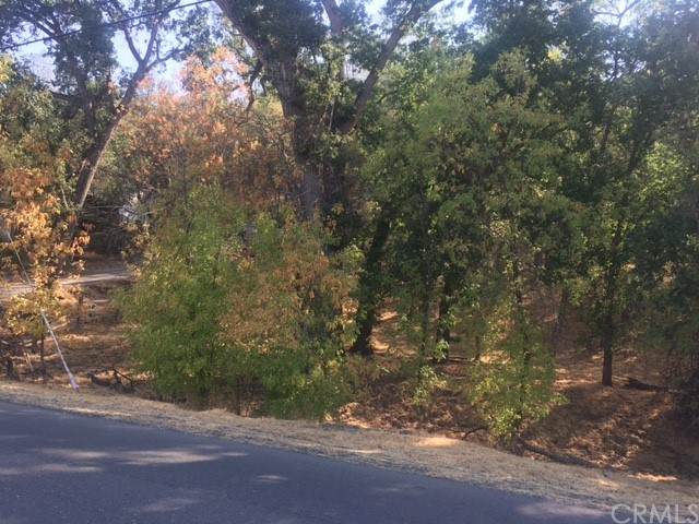 19950 Mountain Meadow - Photo 1