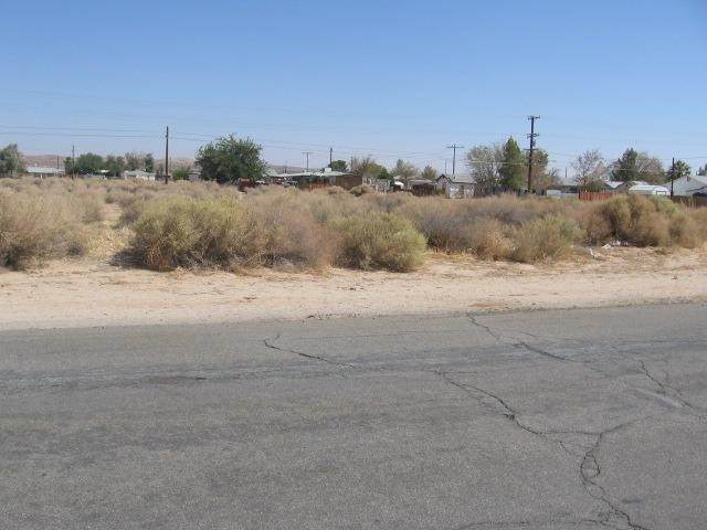 0 Mule Team Road - Photo 1