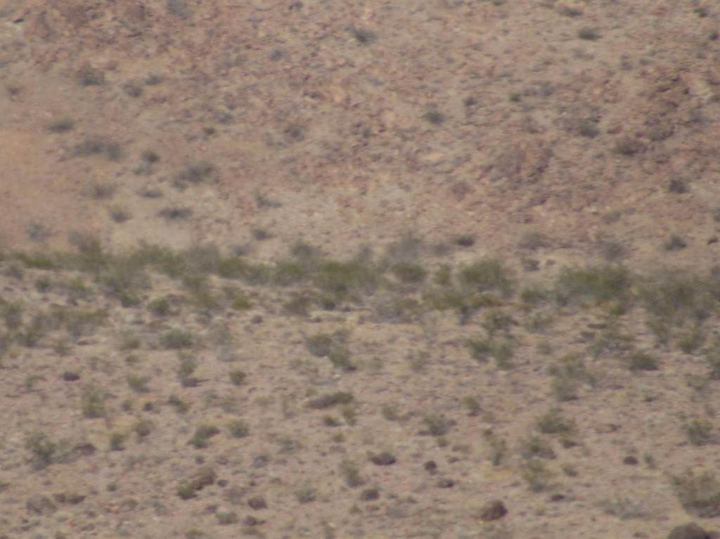 0 0446-032-28-0000 - Photo 1