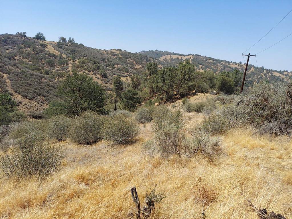0 Fox Ridge Court - Photo 1