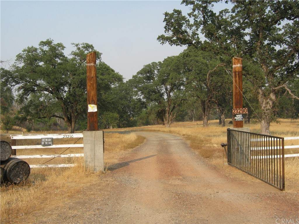 23290 Morgan Valley Road - Photo 1