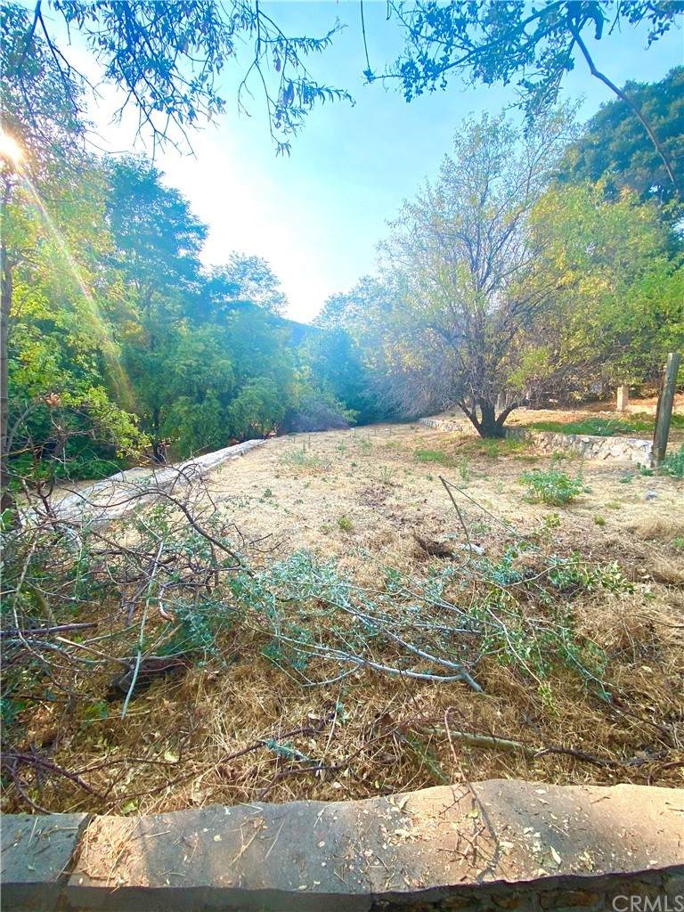 1836 Forrest Lane - Photo 1