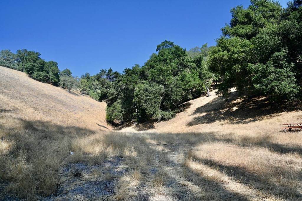 1860 Llagas Road - Photo 1
