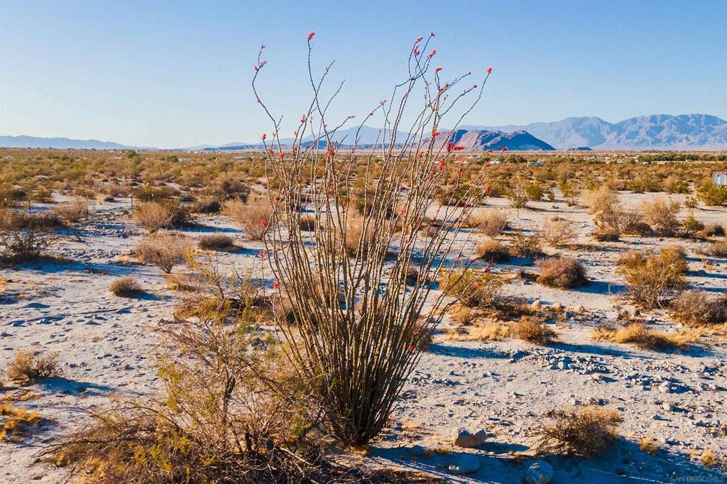 E Street Ocotillo Wells - Photo 1