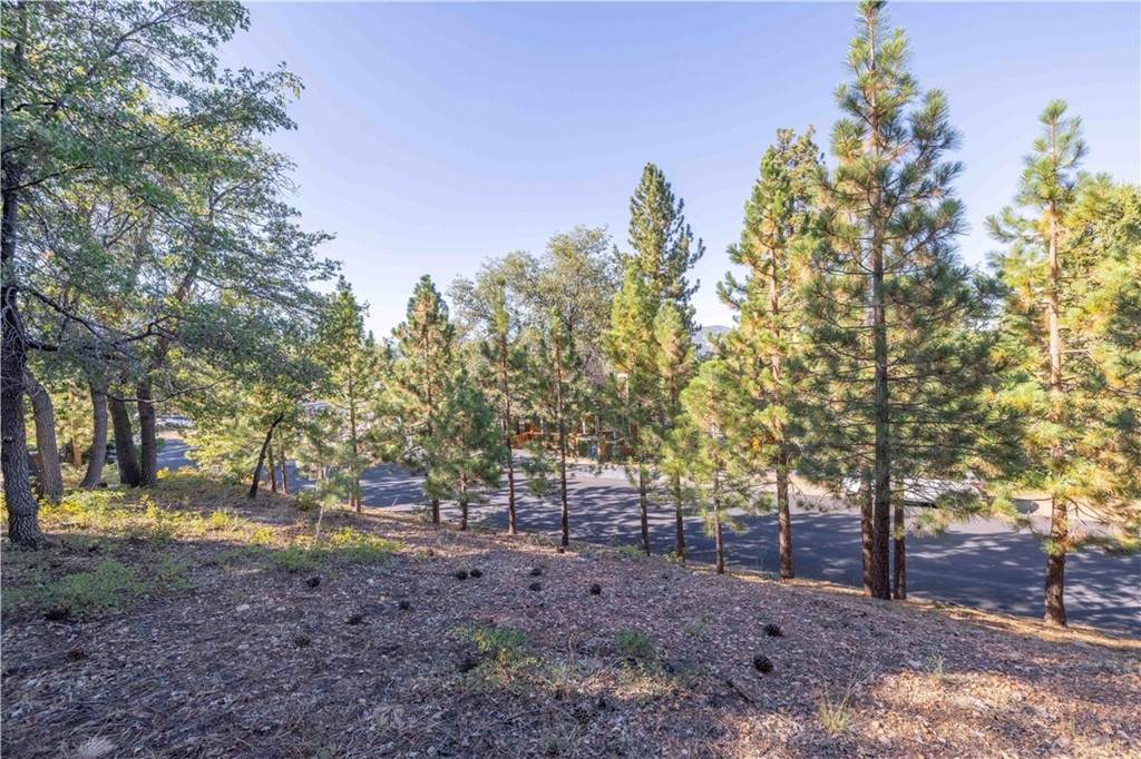 1415 Klamath Road - Photo 1