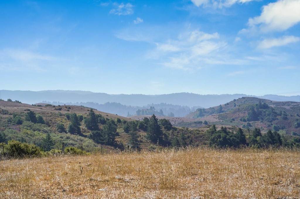 3155 Bear Gulch Road - Photo 1